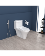 كرسي دورة مياه - باريس 